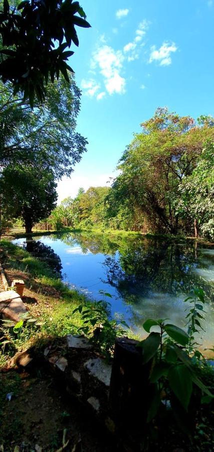 Chacara bica dágua Pirenópolis Exterior foto